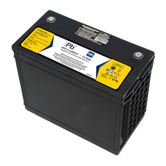 C&D Pure Lead Plus 12V 605WPC @ 15 Min Rate AGM VRLA Battery