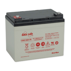 EnerSys DataSafe HX 12V 136WPC @ 15 Min Rate 1.300 SPG POLY-FR AGM VRLA Battery w/ Flag Terminal
